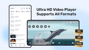 MX Player Pro APK