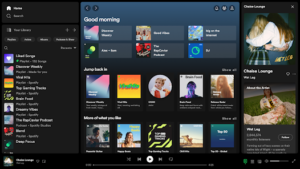 Spotify Premium APK iOS 2024 3